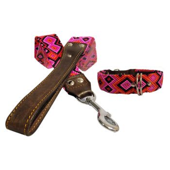Leash and Collar Set L 24” Pink