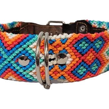 Leash and Collar Set M 20″ Blue and Orange