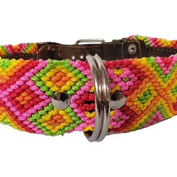 Leash and Collar Set M 20″ Pink and Yellow