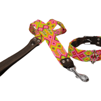 Leash and Collar Set M 20″ Pink and Yellow