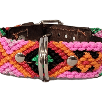 Leash and Collar Set XS 12″ Pink