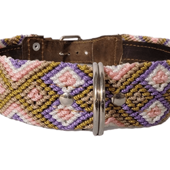 Leash and Collar Set L 24″ Pink and Purple