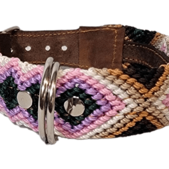 Leash and Collar Set S 16″ Purple and Brown
