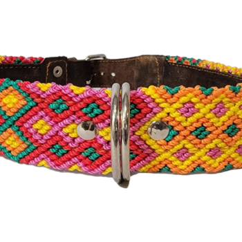 Leash and Collar Set L 24″ Pink and Yellow