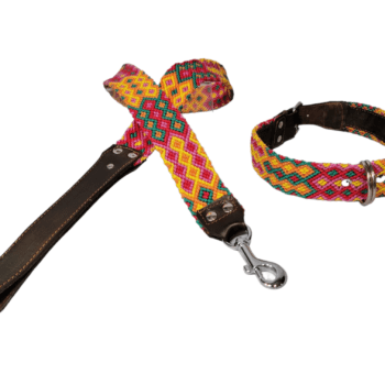 Leash and Collar Set L 24″ Pink and Yellow