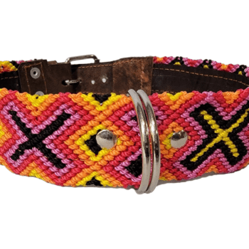 Leash and Collar Set L 24″ Pink and Yellow