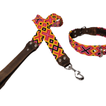 Leash and Collar Set L 24″ Pink and Yellow