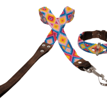 Leash and Collar Set S 16″ Yellow and Blue