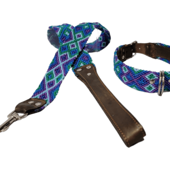 Leash and Collar Set L 24″ Blue and Green