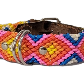 Leash and Collar Set XS 12″ Pink and Blue