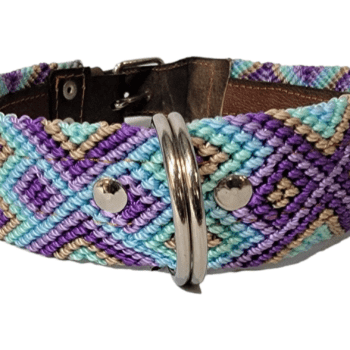 Leash and Collar Set L 24″ Blue and Purple