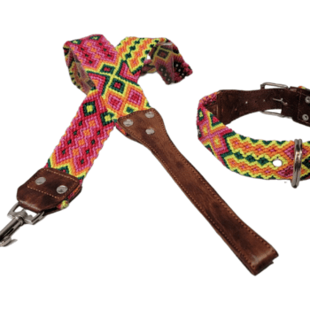 Leash and Collar Set M 20″ Pink and Yellow