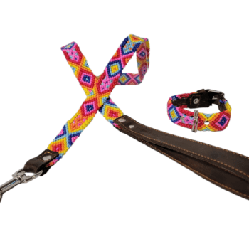 Leash and Collar Set XS 12″ Pink and Yellow