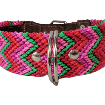 Leash and Collar Set M 20″ Pink and Green