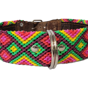 Leash and Collar Set L 24″ Pink and Green