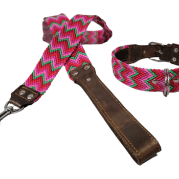 Leash and Collar Set M 20″ Pink and Green