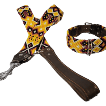 Leash and Collar Set M 20″ Black and Yellow