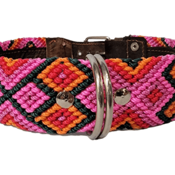 Leash and Collar Set L 24″ Pink and Orange