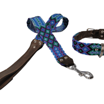 Leash and Collar Set M 20″ Blue and Purple