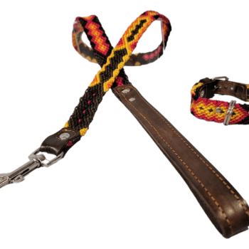 Leash and Collar Set XS 12″ Red and Yellow