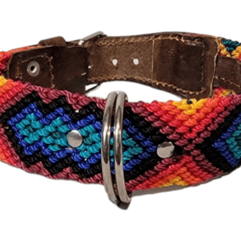 Leash and Collar Set S 16″ Red and Blue