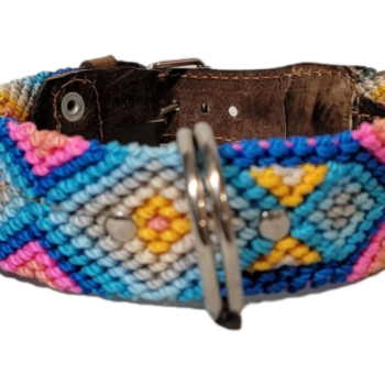 Leash and Collar Set S 16″ Pink and Blue