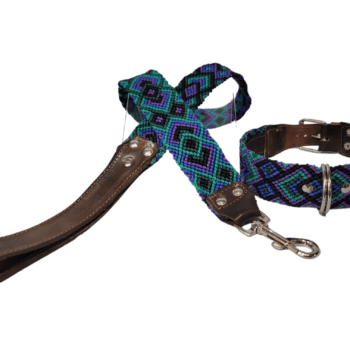 Leash and Collar Set M 20″ Black and Purple