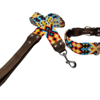Leash and Collar Set L 24″ Blue and Yellow