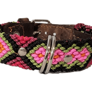 Leash and Collar Set XS 12″ Pink and Black