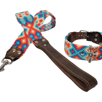 Leash and Collar Set M 20″ Blue and Orange