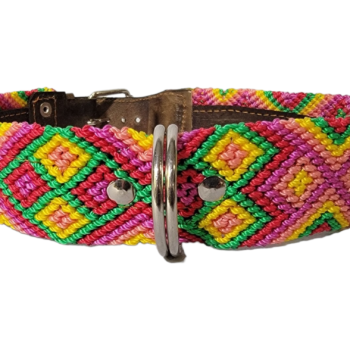 Leash and Collar Set L 24″ Pink and Green