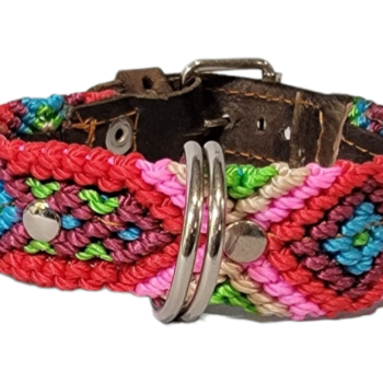 Leash and Collar Set XS 12″ Red and Pink