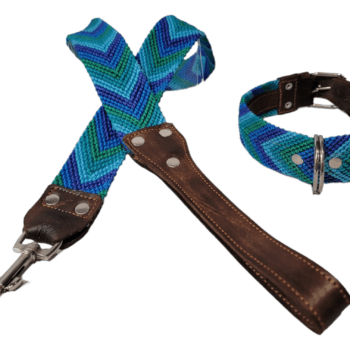 Leash and Collar Set M 20″ Blue and Green