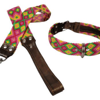 Leash and Collar Set L 24″ Pink and Green