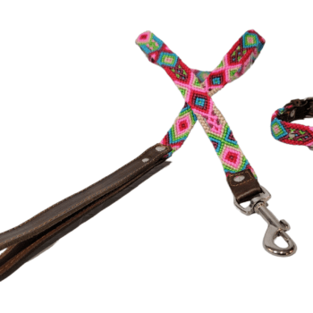 Leash and Collar Set XS 12″ Red and Pink