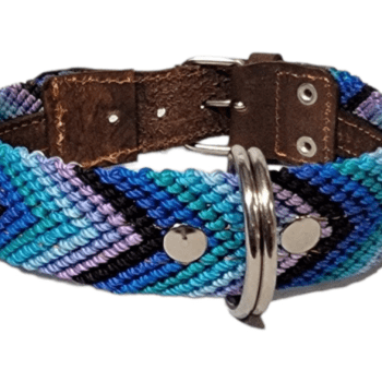 Leash and Collar Set S 16″ Black and Blue