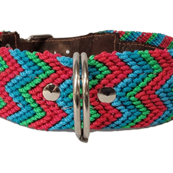 Leash and Collar Set M 20″ Red and Blue