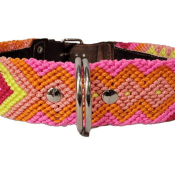 Leash and Collar Set L 24″ Pink and Yellow