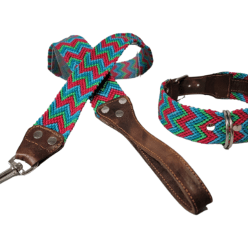 Leash and Collar Set M 20″ Red and Blue