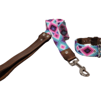 Leash and Collar Set S 16″ Pink and Blue