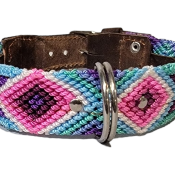 Leash and Collar Set S 16″ Pink and Blue