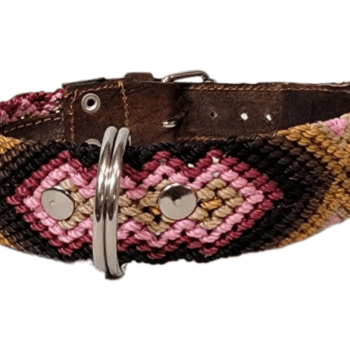 Leash and Collar Set S 16″ Pink and Brown