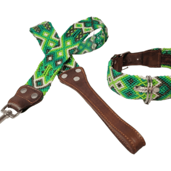 Leash and Collar Set M 20″ Green and White