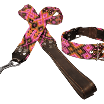 Leash and Collar Set M 20″ Pink and Orange