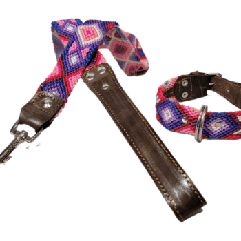 Leash and Collar Set S 16″ Pink and Purple