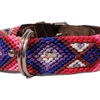 Leash and Collar Set S 16″ Pink and Purple