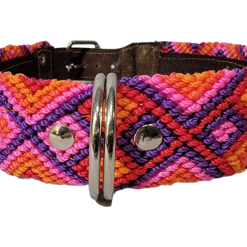 Leash and Collar Set L 24″ Pink and Purple