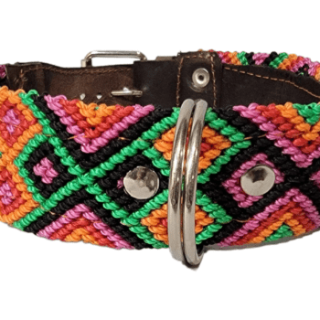 Leash and Collar Set M 20″ Pink and Green