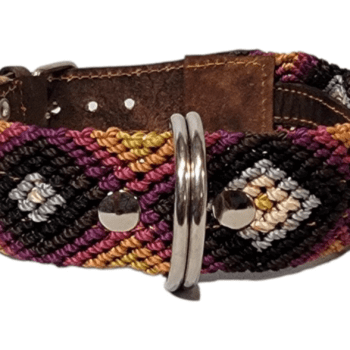 Leash and Collar Set S 16″ Brown and Purple