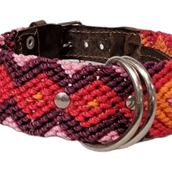 Leash and Collar Set S 16″ Pink and Red